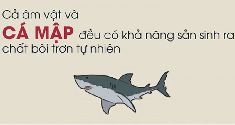 Những bí ẩn về 