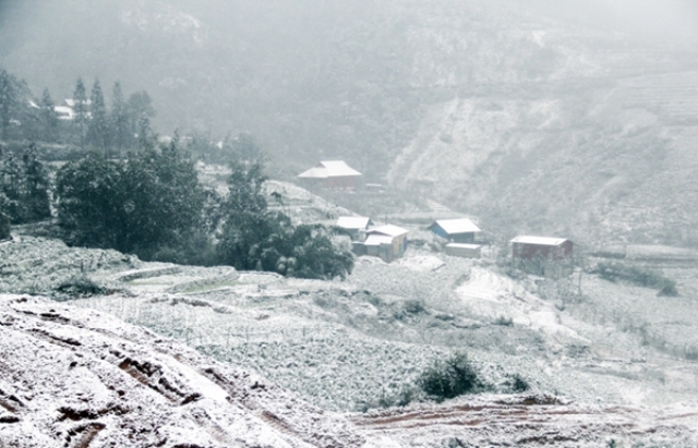 Cảnh tuyết Sa Pa rơi dày đặc như châu Âu