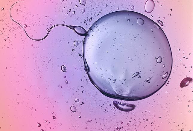 Chữa vô sinh hết thời khó?