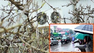 Bi hài nghịch cảnh “kẻ cười người khóc” đợt rét đậm kéo dài