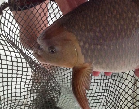 Những đặc sản