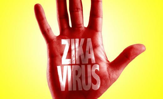 Hiểm họa virus Zika đang đe dọa toàn cầu