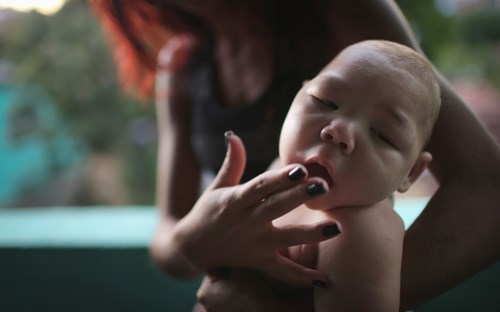 Virus Zika gây teo não tiến sát Việt Nam