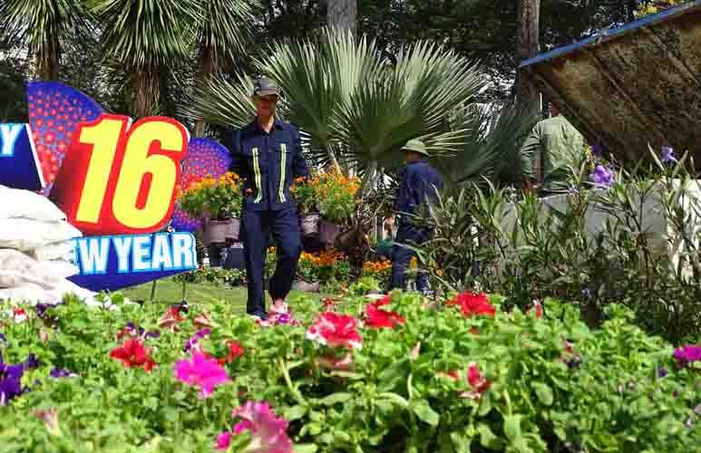 'Cơn mưa thịt viên' tại các rạp chiếu cuối tuần