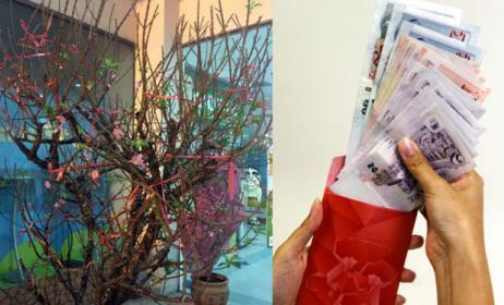 Dân Singapore ngỡ ngàng vì đào Tết giá 60 triệu