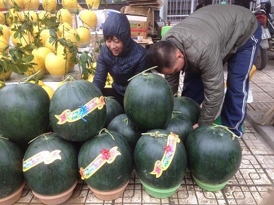 Dưa hấu 15kg/quả đổ bộ Hà Nội