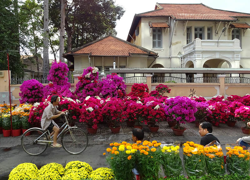 Hình ảnh chiều cuối năm ở Sài Gòn