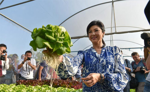 Cựu Thủ tướng Thái xinh đẹp họp báo khoe rau tự trồng