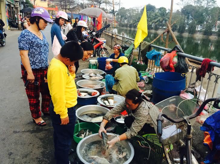 Dân Hà Thành xếp hàng mua đậu phụ đầu năm