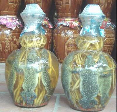 Chọn rượu để quý ông thêm sung