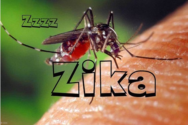 Zika ẩn nấp trong nhiều bộ phận cơ thể