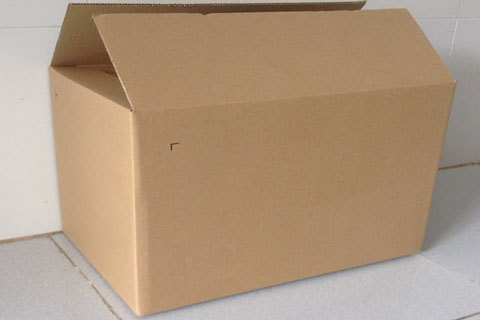 Tá hỏa khi phát hiện bộ xương người trên trần nhà