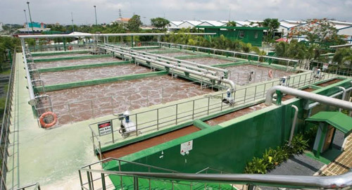 6 lĩnh vực giúp VBL phát triển bền vững ở Việt Nam