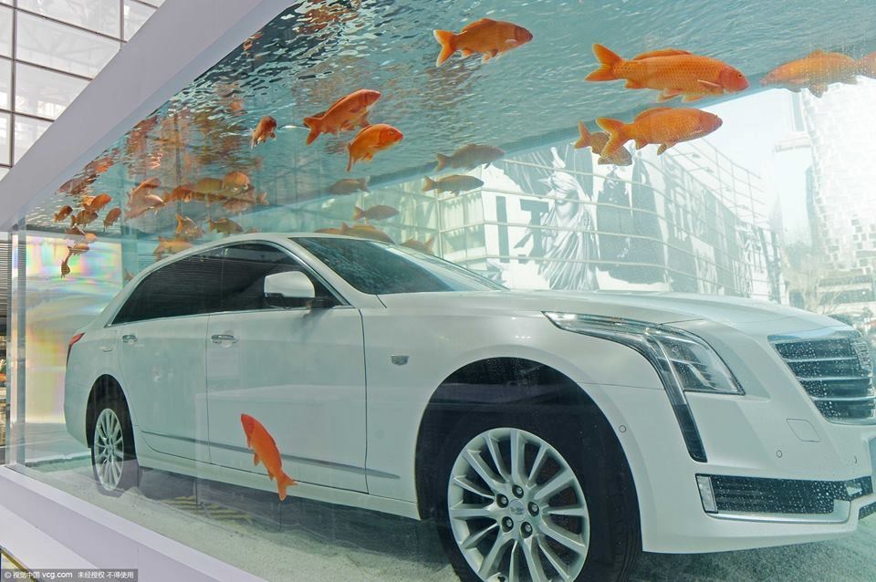 Hãng Trung Quốc chịu chơi 'ngâm' siêu xe trong bể cá