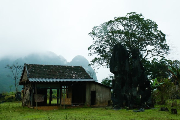 Những địa danh ở Quảng Bình lọt vào máy quay 'King Kong'
