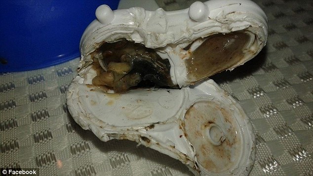 Các mẹ phải kiểm tra ngay bình sữa của con sau khi đọc xong bài này