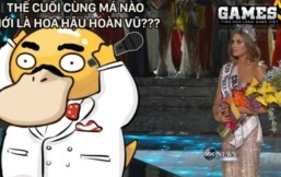 Cười lăn lộn với ảnh chế Vịt bối rối của cộng đồng mạng