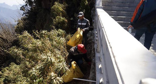 Đu dây nhặt rác quanh đỉnh Fansipan Sapa