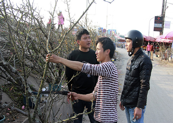 Dân Hà Thành đua nhau chơi lê rừng bạc triệu