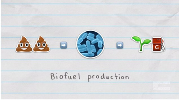 Vài năm nữa, xăng sẽ được thay thế bằng... phân người