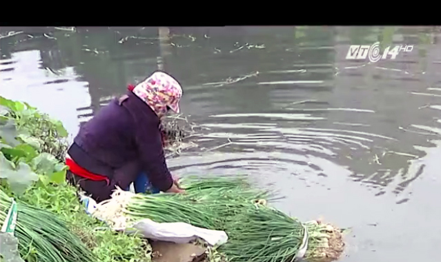 Kinh hoàng rửa rau bằng nước đen ngòm hơn sông Tô Lịch