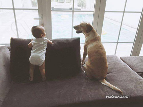 Những hình ảnh hiếm hoi của con trai Tăng Thanh Hà