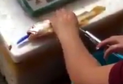 Clip phanh phui thủ đoạn đê tiện của con buôn cá bất lương