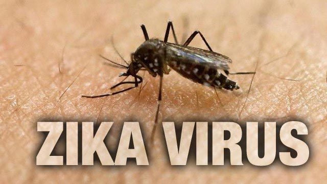 Virus gây teo não Zika đã lan tới Philippines