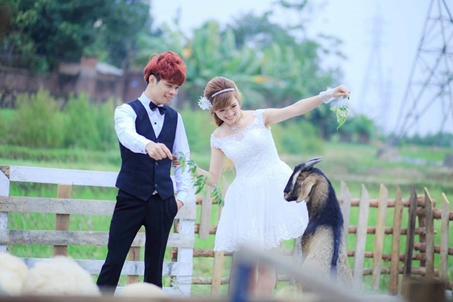 Màn cầu hôn bằng 15 trang giấy giữa sân bay Nội Bài