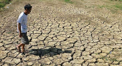 BIDV chi 23 tỷ khắc phục hậu quả hạn hán, ngập mặn