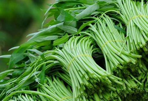 GS Lân Dũng 'cạch' ăn vỉa hè vì sợ ung thư