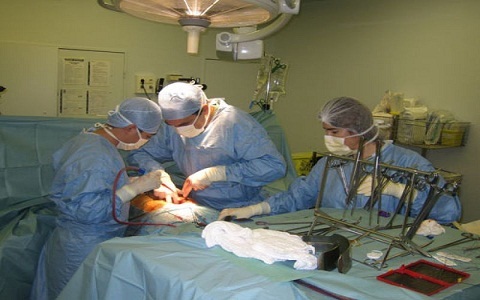 Tinh hoàn văng ra khỏi người, tìm không được