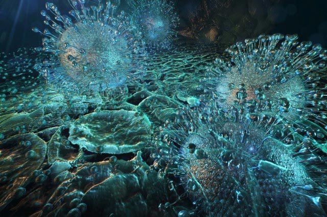 Tìm ra cách loại bỏ HIV khỏi tế bào nhiễm virus