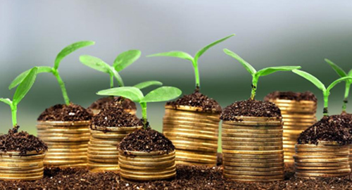 Đầu tư gì với 5 triệu đồng mỗi tháng?