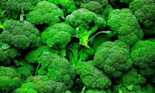 Bông cải xanh giảm nguy cơ ung thư gan