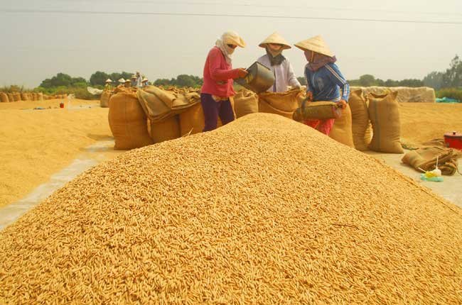 Hạn hán 'đe dọa' tăng trưởng kinh tế 2016