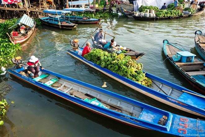 Cuộc sống thương hồ tại làng cá bè Châu Đốc