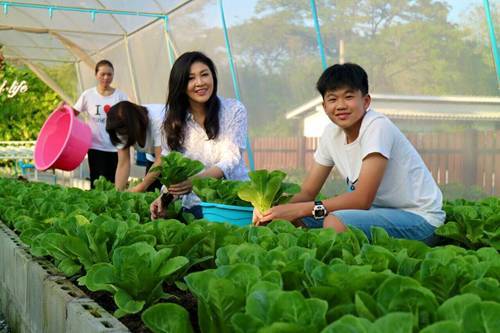 Vườn rau xanh của nữ chính khách tài sắc vẹn toàn