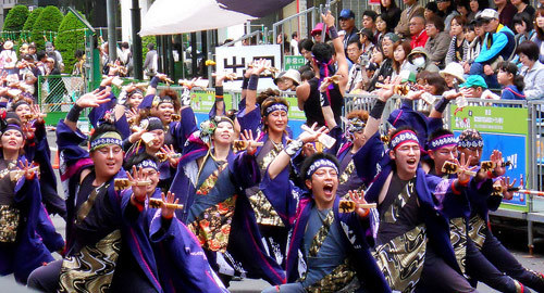 Đà Nẵng có lễ hội Hanami đầu tiên tại Asia Park