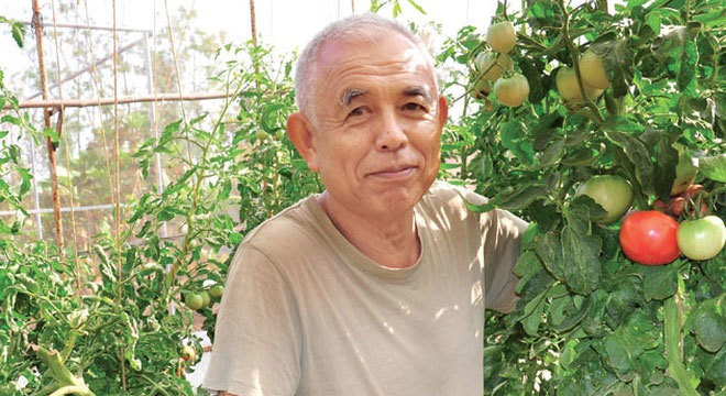 Rau sạch 'phiêu lưu ký'