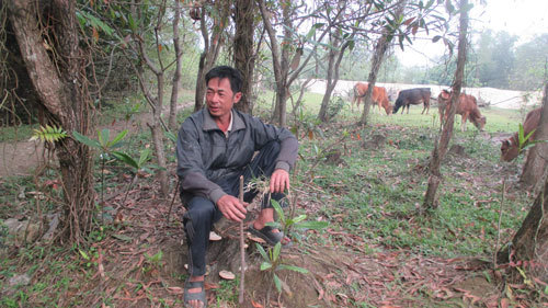 Hà Tĩnh: Ở nhà tầng, bán tivi, bàn ghế ‘chống đói’