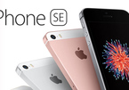Giá trị thực của iPhone SE chỉ hơn 3,5 triệu đồng