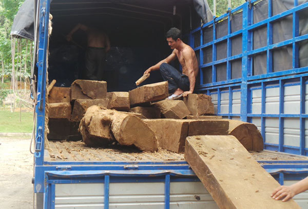 Xe chở gỗ quý ‘qua mặt’ nhiều trạm kiểm lâm