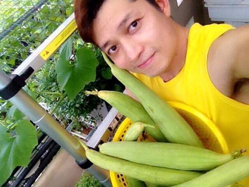 Đã con mắt những vườn rau sân thượng của sao Việt