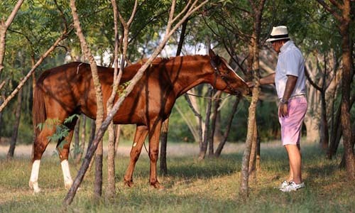 Những thú chơi xa xỉ ít ai biết của đại gia Khaisilk