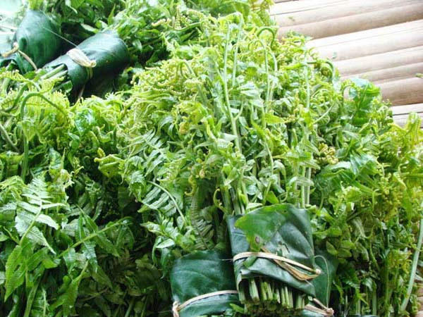 6 loại rau rừng nghe tên lạ tai nhưng ăn cực dễ nghiện của Tây Bắc