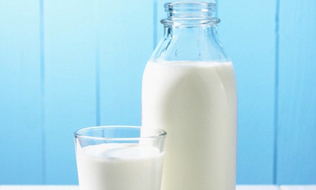 Uống sữa nguyên kem để... giảm béo phì