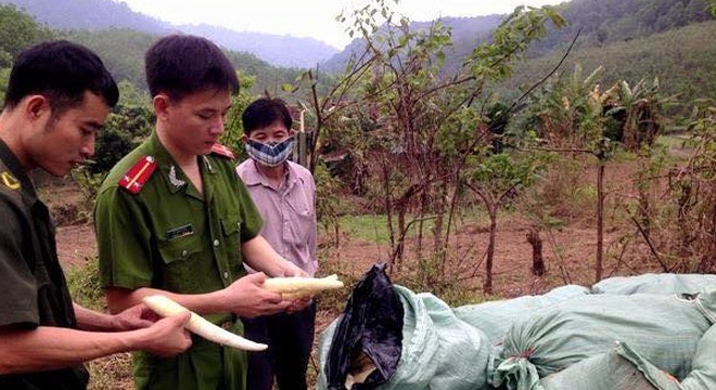 Hơn 20 tấn măng ngâm chất diêm sinh