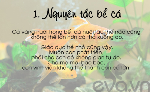 4 quy tắc dạy con nổi tiếng thay đổi cuộc đời 1 đứa trẻ