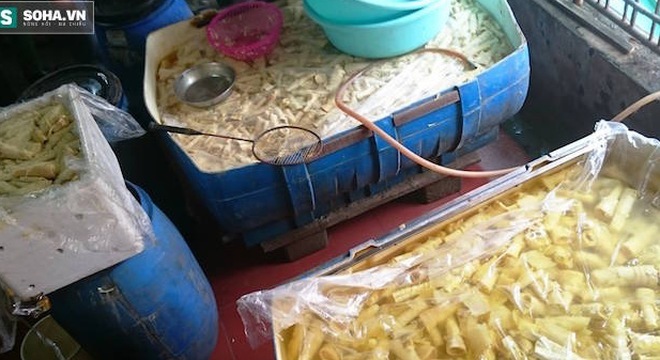 Kinh hãi thấy giòi bò lúc nhúc trong măng tươi ngâm